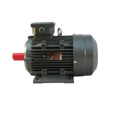 China IP55 Ye3 Series 45Kw 2 Pole Three Phase Asynchronous Horizontal AC Motor for sale