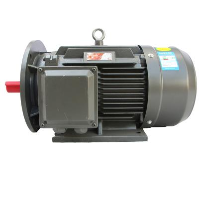 China IP55 Ye3 Series 11Kw15Kw18.5K 0.75Kw 2 Pole 1.1Kw Three Phase Asynchronous Motor for sale