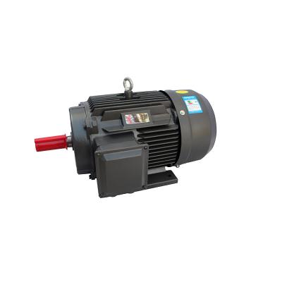 China IP55 0.55Kw0.75Kw4 Ye3 Series 45Kw 2 Pole Low Voltage High Power Three Phase Three Phase Asynchronous Motor for sale