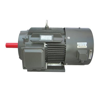 China IP55 Ye3 Series 0.55Kw 0.75Kw 4 Pole 30Kw 1400Rpm Low Voltage High Power Three Phase Asynchronous Motor for sale