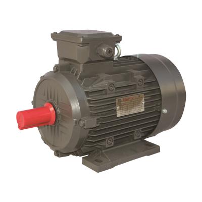 China IP55 Ye3 Series 45Kw55Kw6 Three Phase Asynchronous Motor Pole for sale