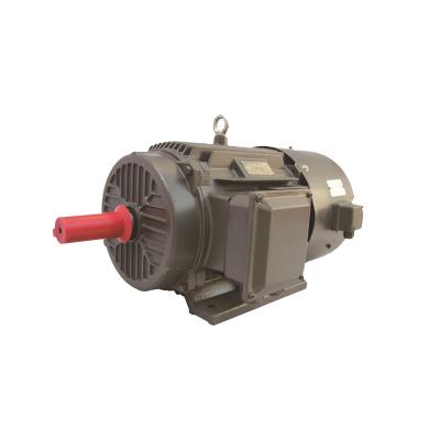 China Factory Sales Yvf2 Series 15kw 80hp Direct Electric Three Phase Motors Drip Proof for sale