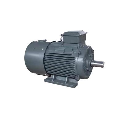 China 500Kw Yvf2 Series Drip Proof Three Phase Asynchronous Adjustable Speed ​​Frequency Electric Motor for sale