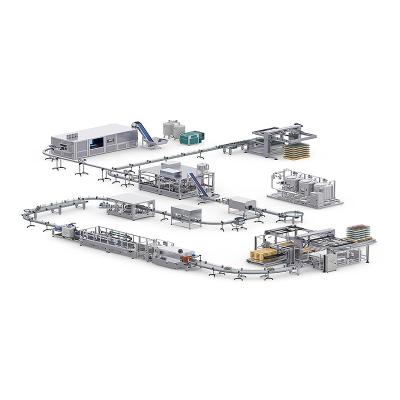 China Automatic mango Fruit Juice Processing Line  Fresh Fruit Complete Juice Production Line for sale