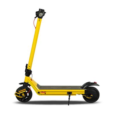 China New Next Hot Selling Electric Bike 36v Unisex Two Wheeler Electric Scooter For Adult Scooter for sale