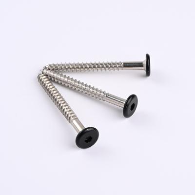 China Anticorrosive Hot sale high qualitystainless steel 304 316 hexagon socket furniture screw for sale