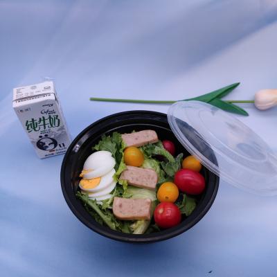 China Minimalist China Manufacturer Microwave Disposable Plastic Food Container Take Away Plastic Bento Lunch Box for sale