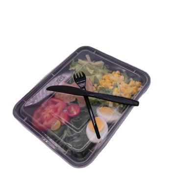 China Clear Plastic Container Rectangle Minimalist Food Box Rectangle Plastic Container For Food Packaging Food Containers Plastic for sale