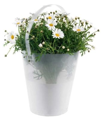 China Flower Packaging OEM Printing Transparent Flower Bag Potted Plant Carry Bucket for sale