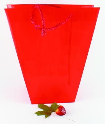 China Disposable Plastic PP Flower Bag Gift Shopping Bags for sale