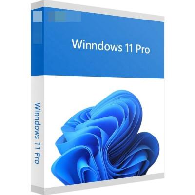 China Winndows 11 Professional Product Key 3 Months Warranty Download OEM Key Winndows 11 pro online key winndows 10 pro for sale