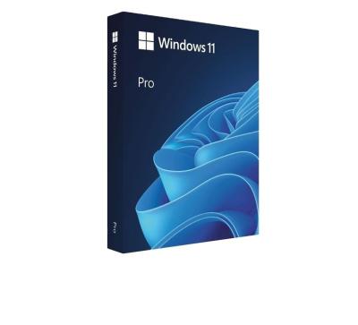 China Windows 11 Professional Online Key Send By Email Windows 11 Pro 6 Month Warranty for sale