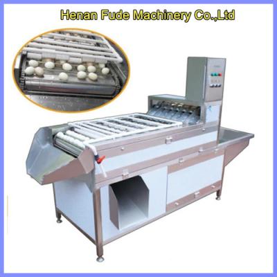 China Egg shelling machine,egg peeling machine, egg sheller,egg peeler for sale