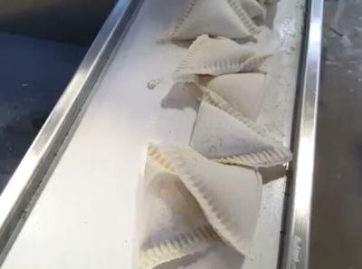 China automatic samosa making machine, triangle dumpling machine for sale