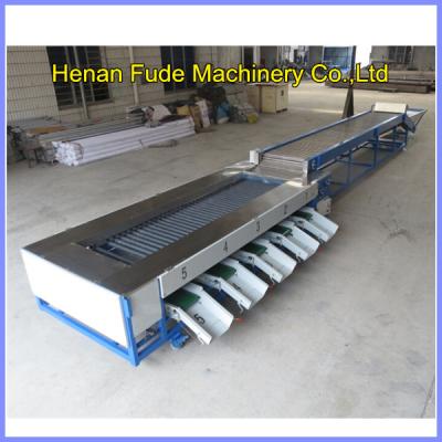 China Cherry tomato sorting machine ,cherry tomato grading machine,tomato sorting machine for sale