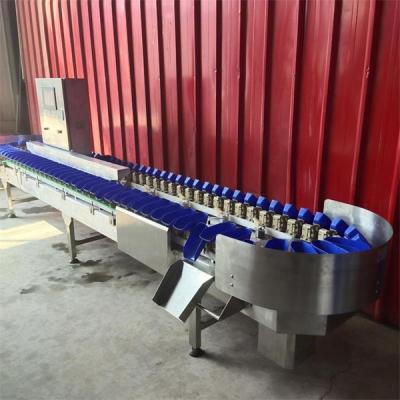 China apple grading machine, apple sorting machine, fruit grader sorter for sale