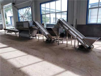 China big capacity garlic peeling line, garlic peeling machines, garlic peeler for sale