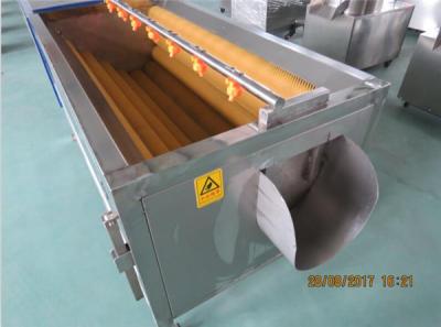 China potato washing machine, potato cleaning machine, carrot washing machine for sale