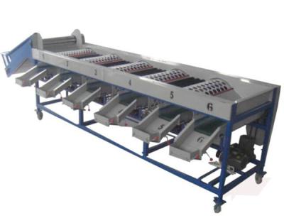 China onion sorting machine, onion grading machine, onion sorter, onion grader for sale