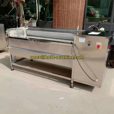 China small ginger peeling machine, ginger cleaning machine, potato washing machine for sale