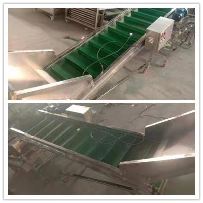 China mushroom classification machine, mushroom classifier, mushroom sorting machine for sale