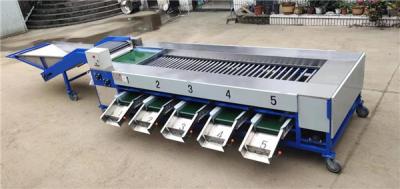 China potato grading machine, potato sorting machine for sale