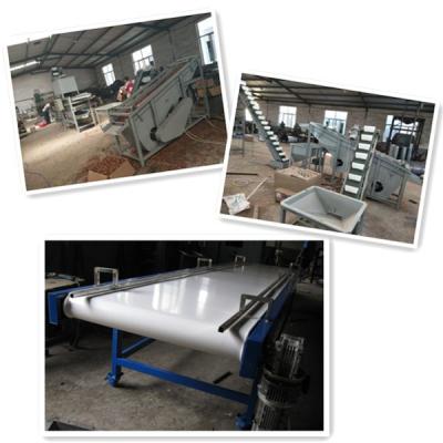 China walnut processing machines, walnut cracker, walnut shelling machine for sale