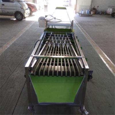 China cherry sorting machine, cherry grading machine, cherry grader, cherry sorter for sale