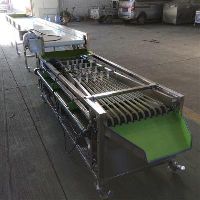 China blueberry sorting machine, blueberry grading machine, blueberry grader for sale