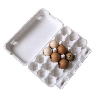 China Biodegradable 18 Egg Cartons Molded White Pulp Egg Cartons Egg Tray for sale