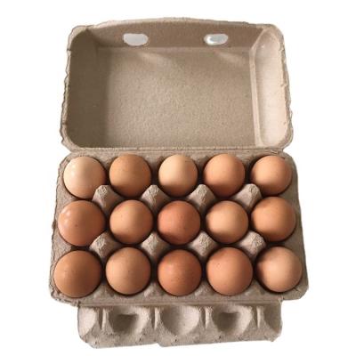 China Biodegradable 15 Egg Cartons Molded White Pulp Egg Cartons Egg Tray for sale