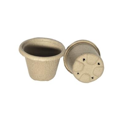 China Gardening & Planting Pots-11cm Round Paper Pulp Plant Nursery Wholesale High Quality Eco-friendly Biodegradable Paper Pulp Pots For Planting for sale