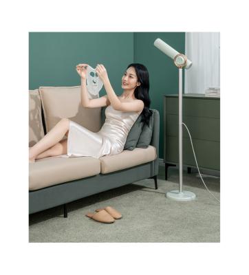 China Other Hot Selling Adjustable Temperature Air Outlet Large Standing Hair Dryer With Remote Control for sale