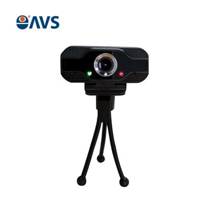 China USB Video Input 1080P 2.0MP USB Webcam Support Windows/Android/Linux System With Audio for sale