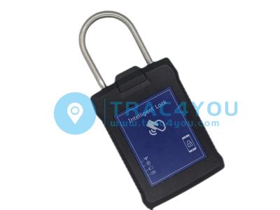 China 2G 3G 4G Electronic Seal TL10 RFID Lock Smart GPS Lock For Container Tracking And Cargo Security Tracking for sale