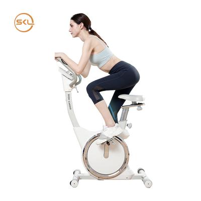 China SKL-5128-AI Home Use Exercise Bike Cycle Machine Electric Physical Smart Bicycle for sale