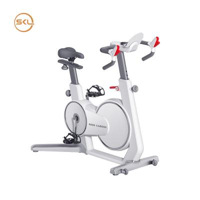 China SKL-5129 Universal Home Use Gym Equipment Bicycle Smart Exercise Bikes For Sale for sale