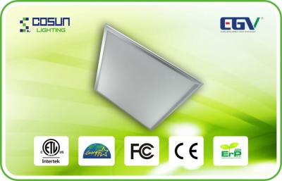 China 60HZ Eco-Friendly Dimmable LED Panel Ceiling light / OEM ODM 1275LM - 1530LM Lighting for sale