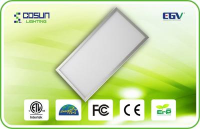 China luz de painel ultra fina do diodo emissor de luz do poder superior 60HZ para a sala de conferências, diodo emissor de luz ultra fino do × 600mm de SMD5730 300mm à venda