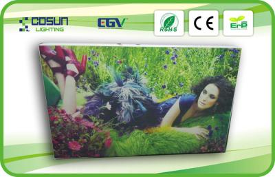 China Customized Illuminated Fabric Frameless Light Box For Display / Advertising , 83mm for sale