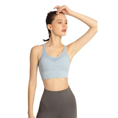 China Wholesale Breathable Light Blue Round Logo Printed Yoga Bra Top New Design Manufacturers Popular Sports Neck Sports Bra Fitness Invest for sale