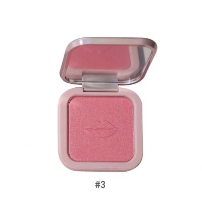 China Custom Sunscreen Makeup Face Cheek Private Label Blush Palette Pressed Powder for sale