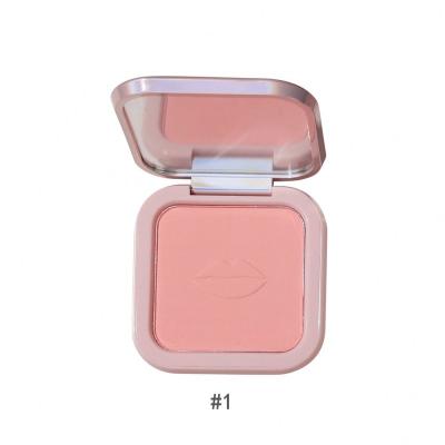 China Custom Sunscreen Face Cheek Blush Contour Logo Palette Pallete Private Label for sale