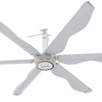 China Top Price of Kale 2M 2.5M 3M Industrial Ceiling Fans Gym Ceiling Fan Manufacturer for sale