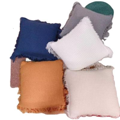 China Anti Dust Mite Amazon Hot Sale Personal Office Fast Ship Top Quality Popular Product Cute Cushion Square With Cotton Pillowcase for sale