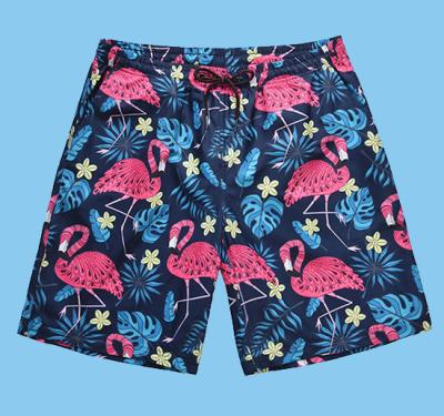 China Insti boy shorts sports Hawaiian pants popular individual chic viable flamingo print casual medium popular beach pants for sale