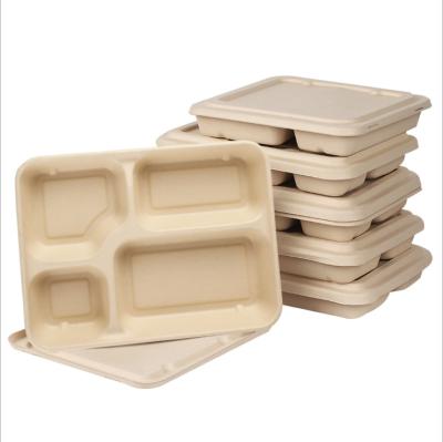 China 100% Disposable Degradable Compartment Lunch Boxes Eco-friendly Pulp Bento Meal Prep Takeout Food Container for sale