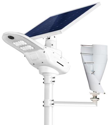 China 30w LANDSCAPE Solar Wind Hybrid Street Light , All In One LED Solar Street Lights for sale