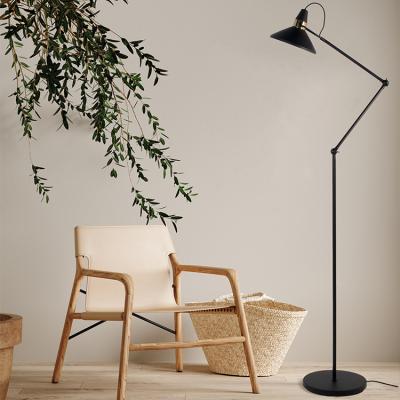 China High Quality Wholesale Modern Modern Design Graphite Live Lamp Floor Stand Lamps Nordic For Living Room for sale