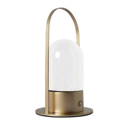 China New Design Portable Modern Home Decoration Lighting Gold Reading Lamp Table Lamp With Usb Charging for sale